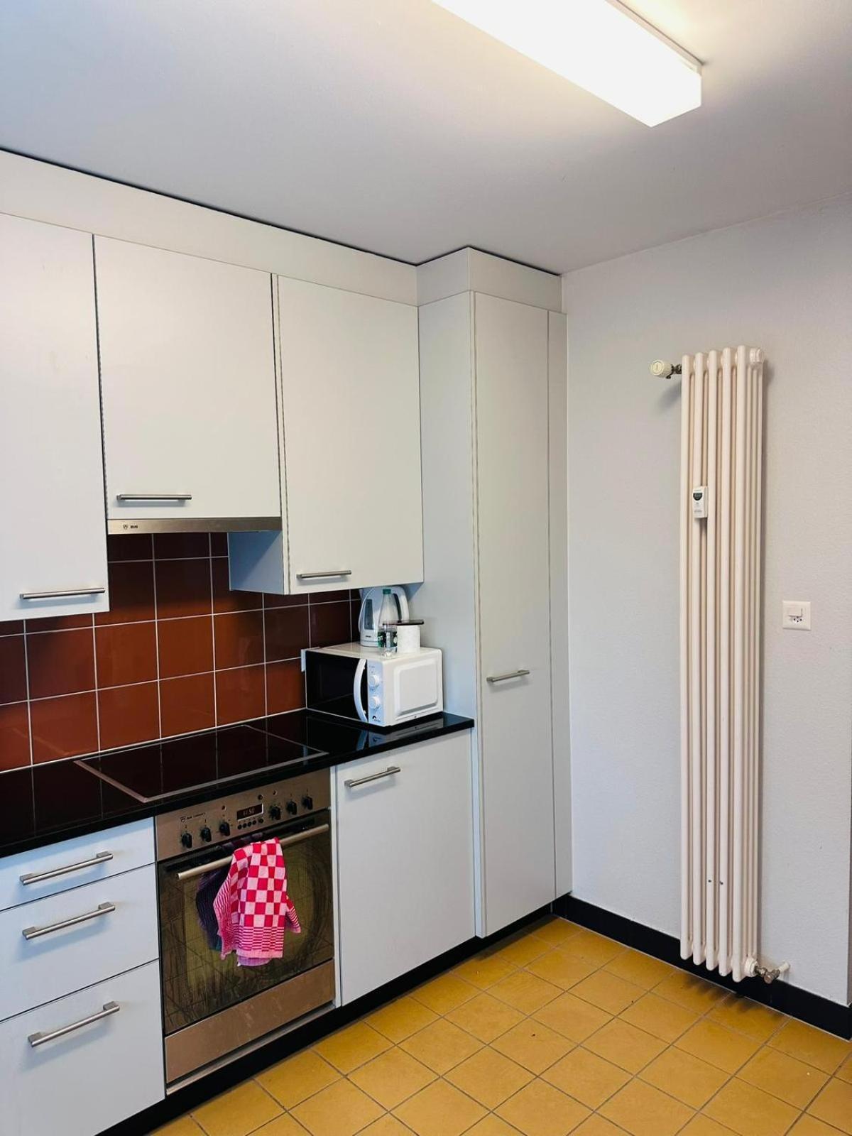 Hotel Apt Near Basel Centre And Airport Exterior foto