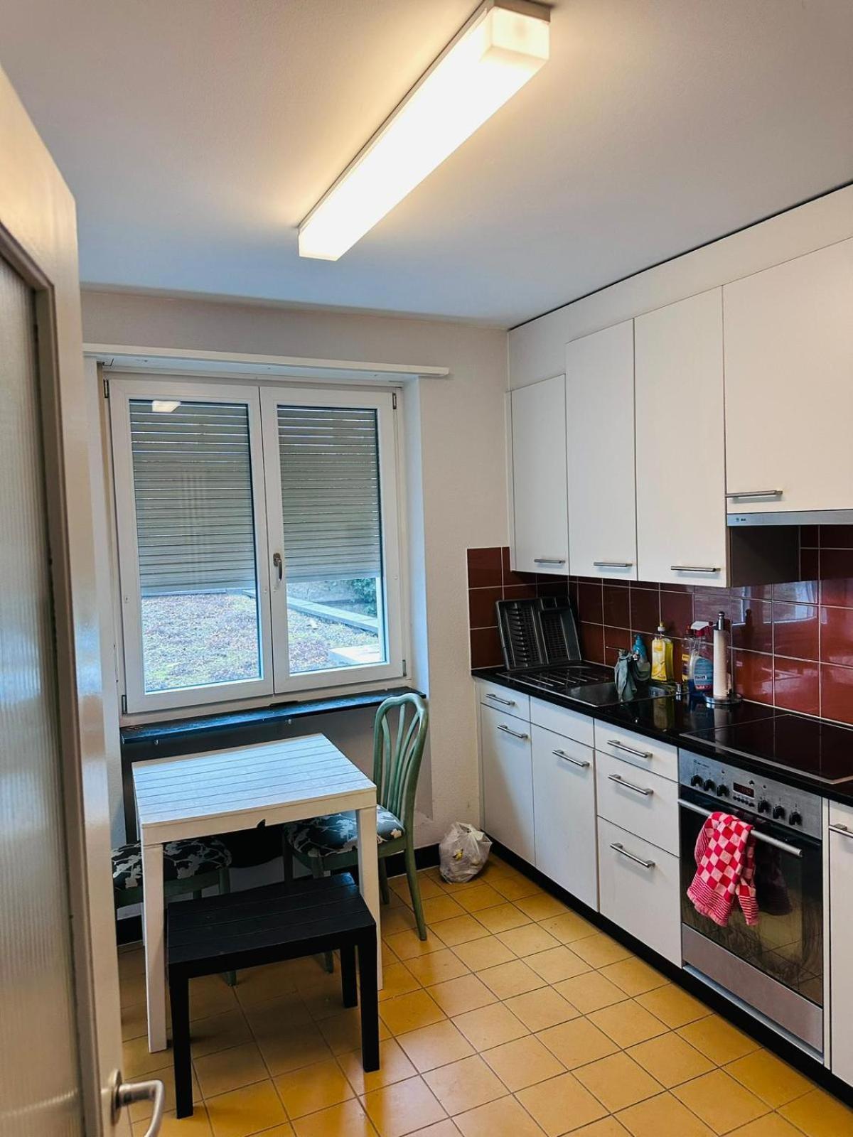 Hotel Apt Near Basel Centre And Airport Exterior foto